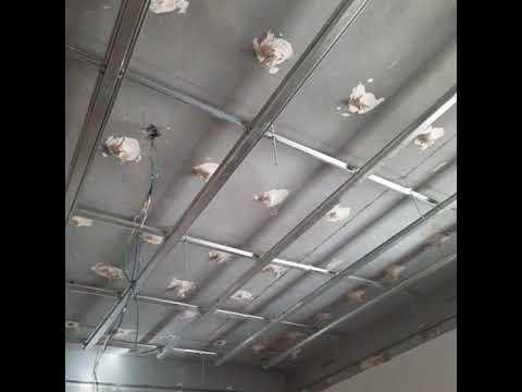 تشطيب جبس بورد شامل التصميم فقط 50 ريال عمال هنود محترفين في الرياض