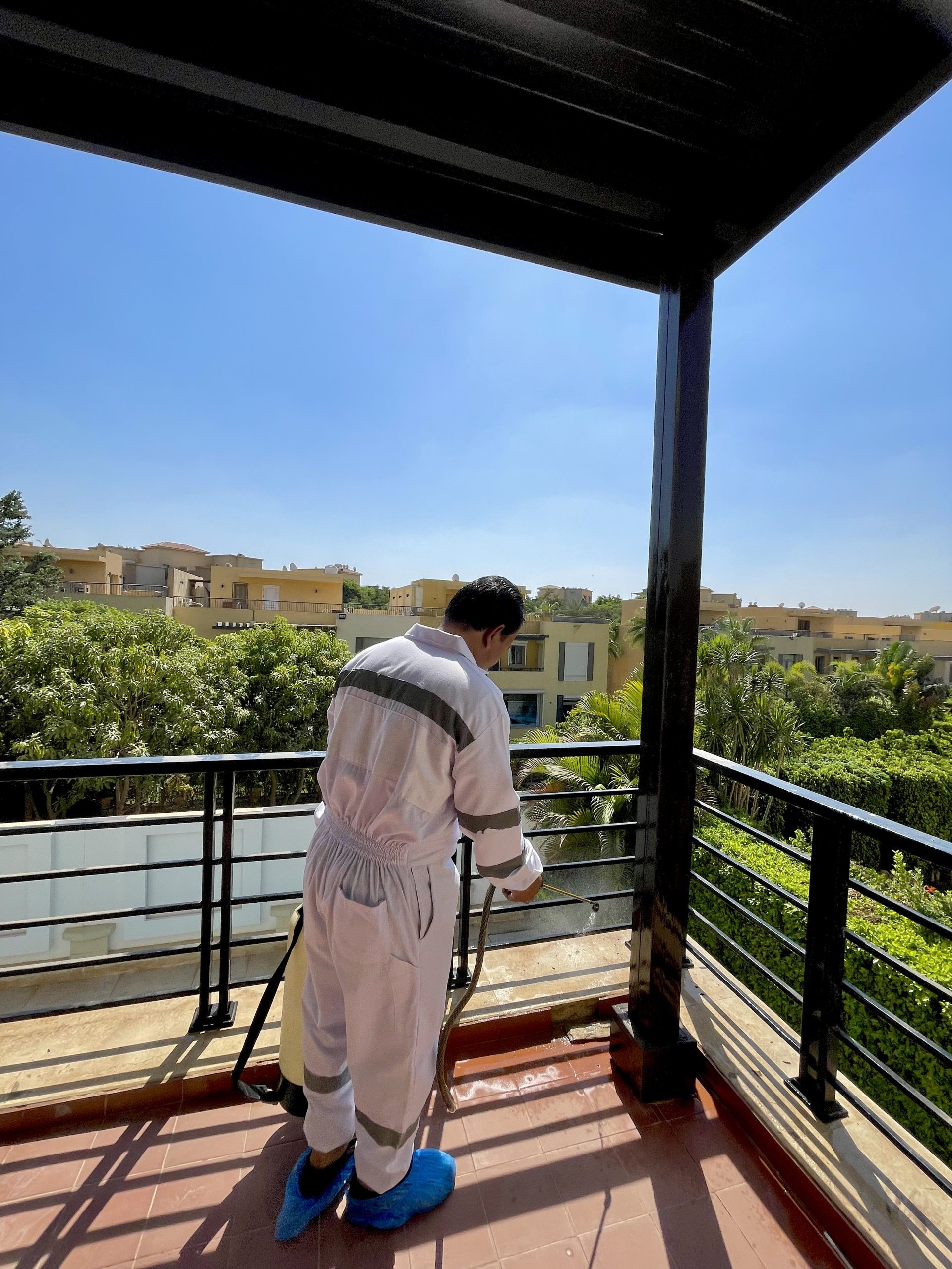 الشركة الالمانية لمكافحة الحشرات | خدمة 24/7 | 0201016662501