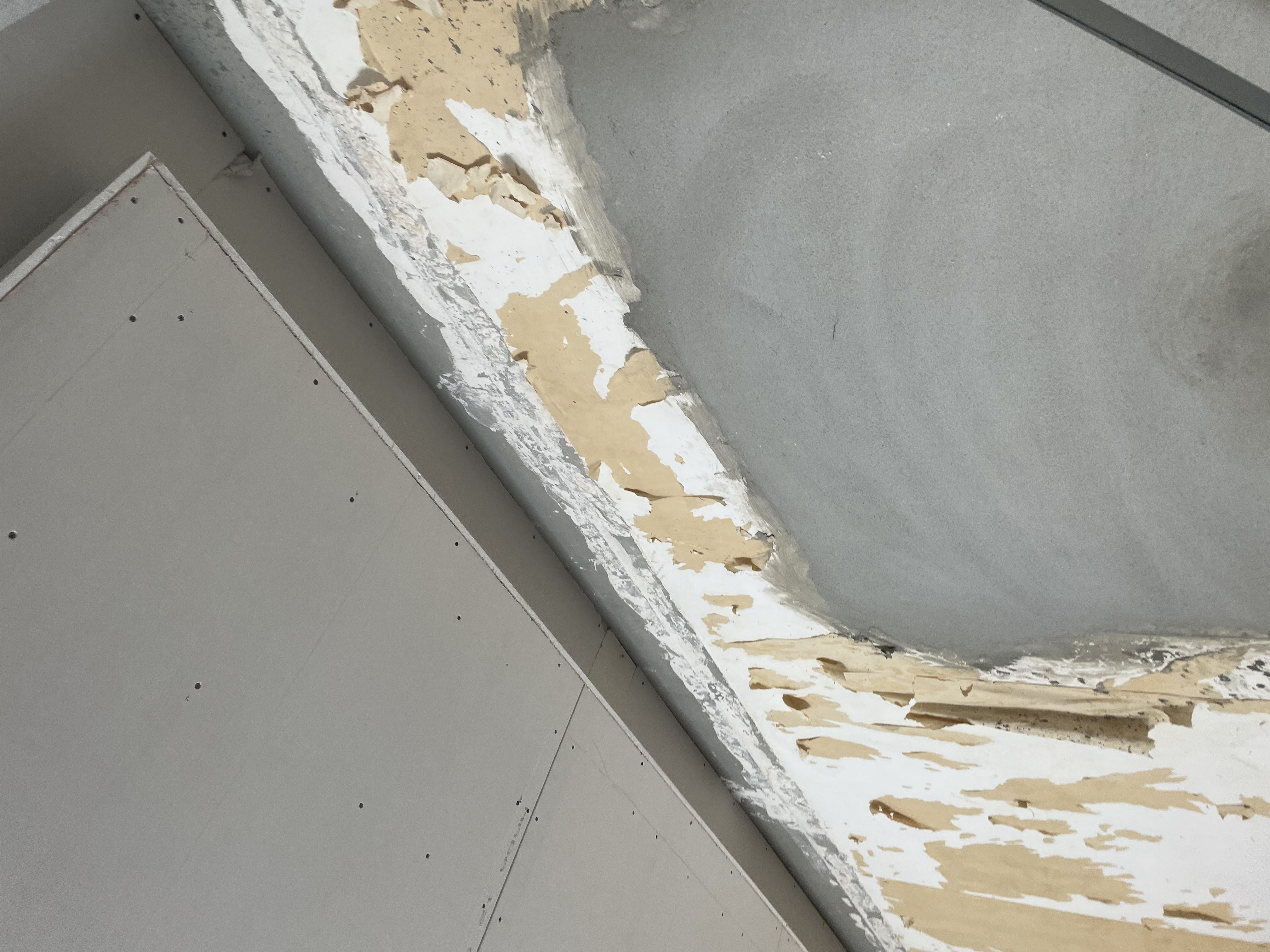 تشطيب جبس بورد المدى الاخضر حديد 6 ملم فشر نحاس شامل التصميم و الضريبة والاشراف المتر  50 ريال